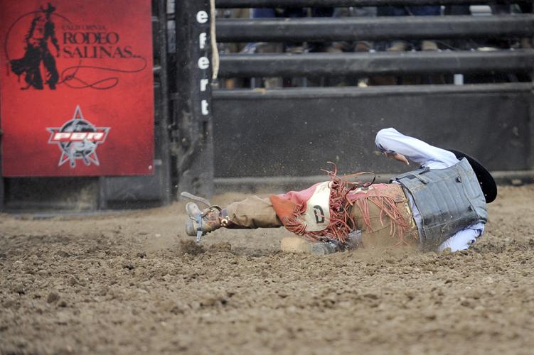 2014 Professional Bull Riding