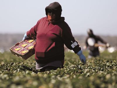 Ag workers (copy)