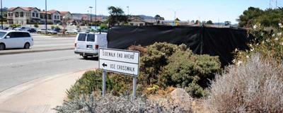 Water system work destroys part of Seaside's community dry garden.  