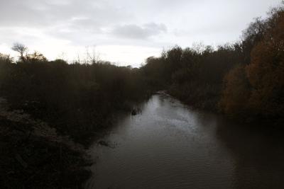 Salinas River