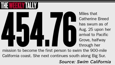 The Weekly Tally 08.27.26