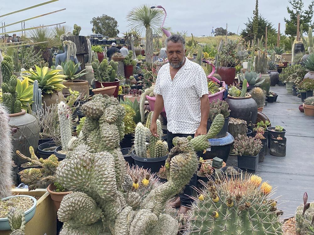 Unique Nursery in Castroville Fights to Stay Afloat | News |  montereycountynow.com