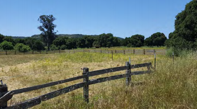 Rancho Los Robles