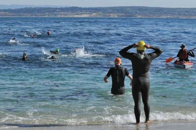 Open-water swimming off Pacific Grove’s coast nets a dozen understandings.  