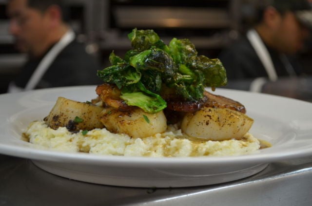 Scallops.JPG