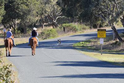 Monterey Downs