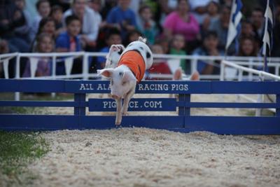 monterey county fair (copy)