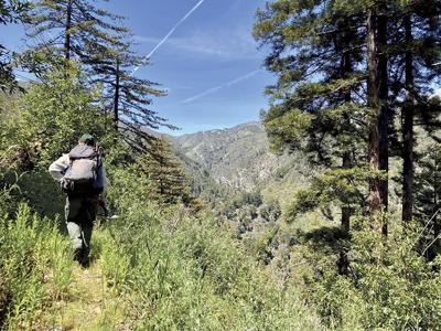 A Trail Prevails