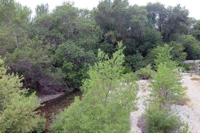 Low river flow