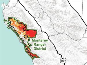 Image for display with article titled U.S. Forest Service Proposes a Wildfire Risk Reduction Project in Los Padres, Including Big Sur.