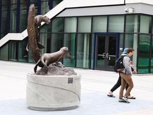 Image for display with article titled Frustrations Mount for Students Looking for Housing on CSU Monterey Bay’s Campus.