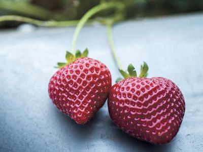 Very Berry