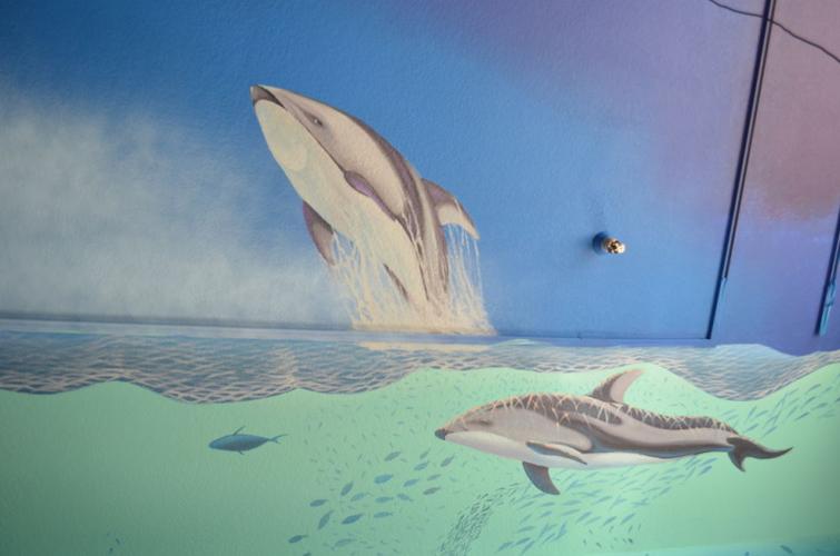Bay of Pines dolphins on the ceiling