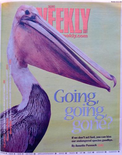 Issue Nov 18, 1999 