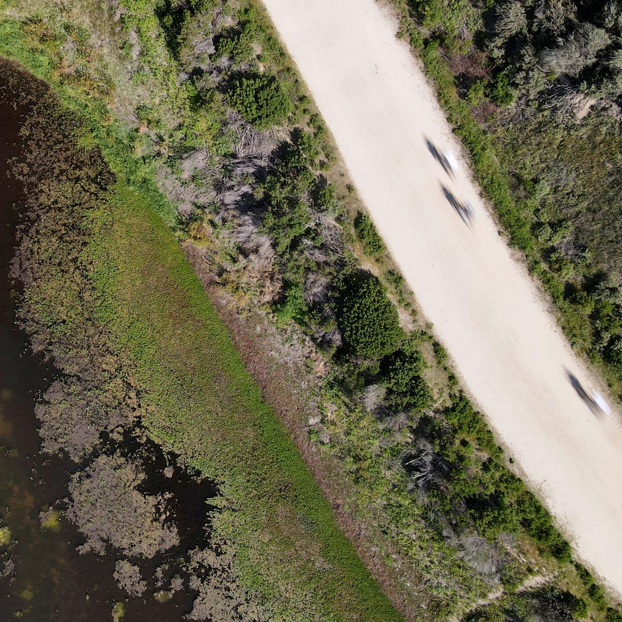 Recognize this woman from 1957 NYC area?, image size:1240x1240