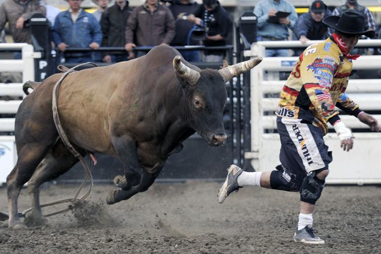 2014 Professional Bull Riding