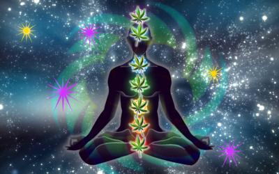 MMJ_Chakras