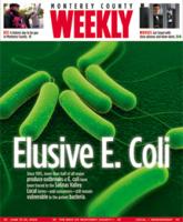 Issue Jun 19, 2008 