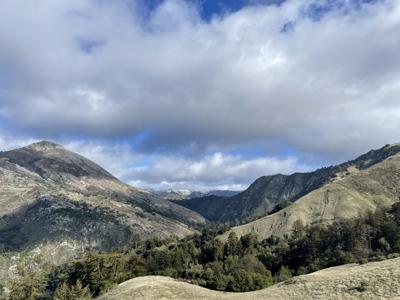 Snow-capped peaks (copy)