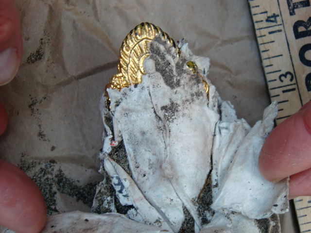 5 Photo from Susan 1.JPG