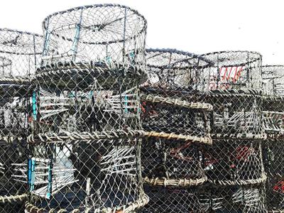 •Morsels-CrabPots