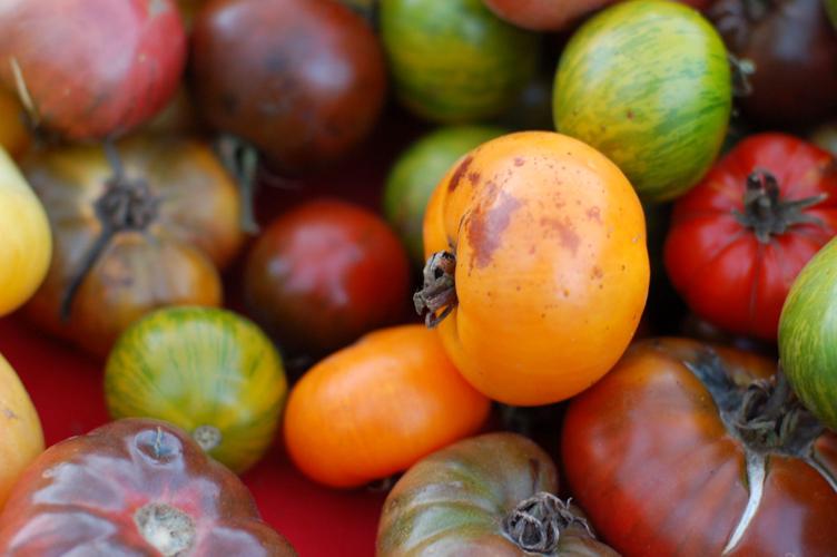 farmers market tomatoes