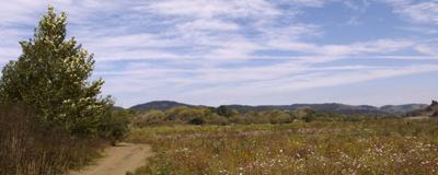 The Big Sur Land Trust revisits its mission.  