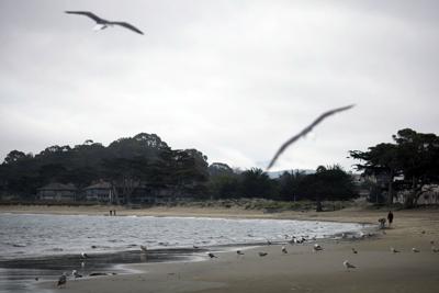 Del Monte Beach in Monterey (copy)