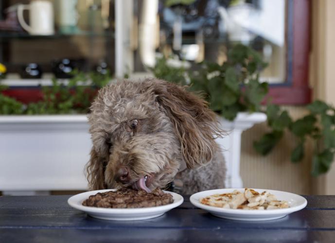 032423 Dog Menu 04.jpg