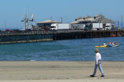 Sustainable tourism summit comes to Asilomar.  
