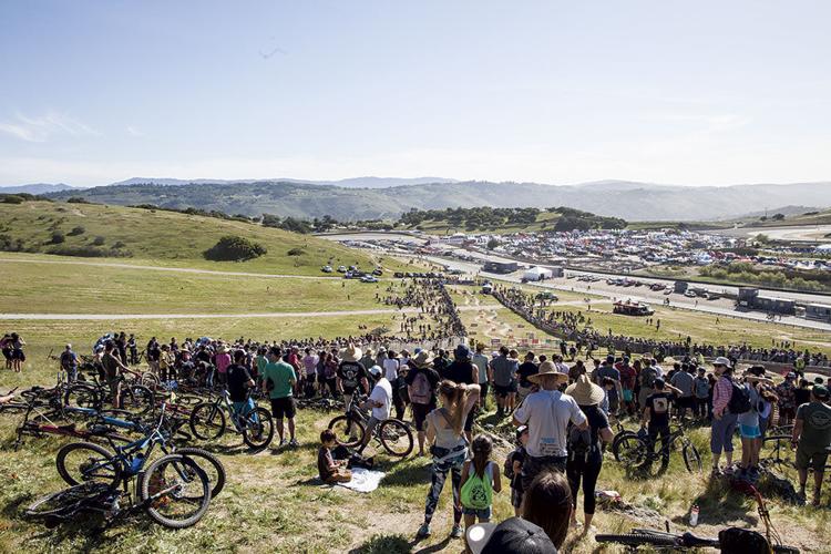 Bring On the Bicycle