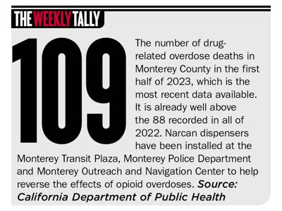 The Weekly Tally 04.25.24