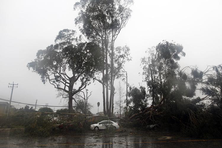 StormNC003.jpg