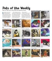 Pets of the Weekly