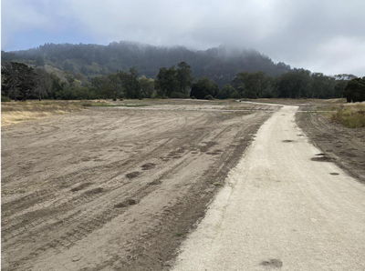 A section of the new Palo Corona cross-country course in July.