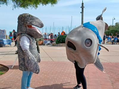 •Morsels-WhaleFest