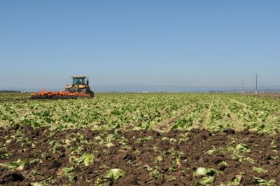 State Orders South County Grower To Clean Up Drinking Water  