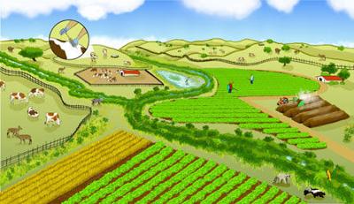 Wilderness and farm interface