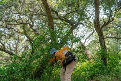 web photo Saturday 4-25 - kerry frangioso