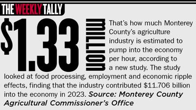 The Weekly Tally 11.27.25
