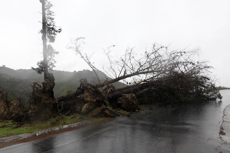 StormNC012.jpg