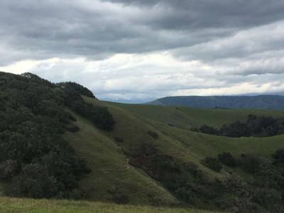 Toro Park trails