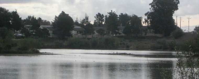 Big Sur Land Trust gives the Carr Lake project in Salinas a renewed lease on life.  