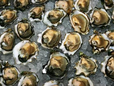 •Morsels-oysters2
