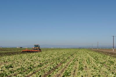 Ag Waiver Resolved, For Now  