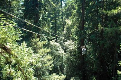 County Parks, opponents dig in over Jacks Peak zipline proposal.  