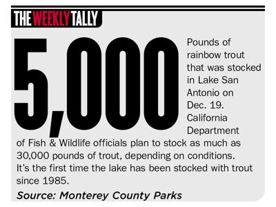 The Weekly Tally 12.28.23