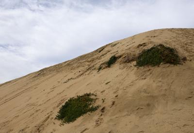 Scribble Hill