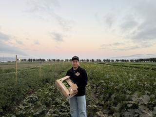 Field of dreams. Recall attempt for a Salinas councilmember. Groups face-off on rental protections.