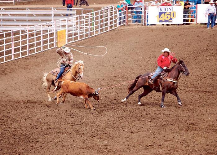 Rodeo Ranching